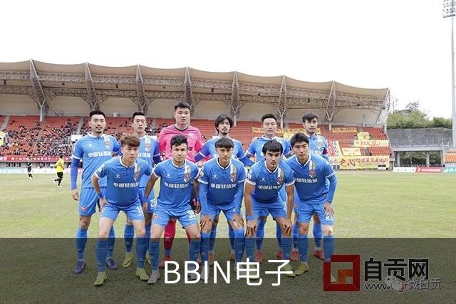 BBIN电子 公司简介